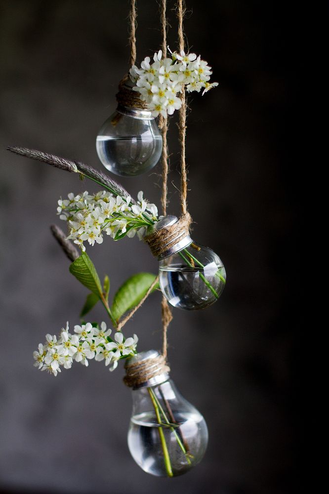 Photograph by Мария Шумилина