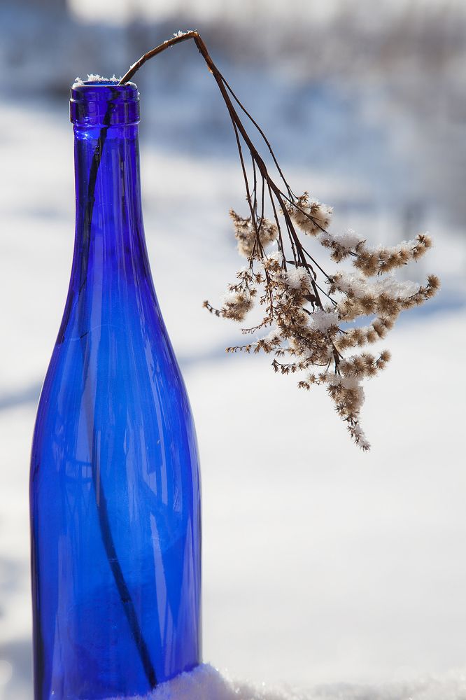 Photograph by Елена Жуковская