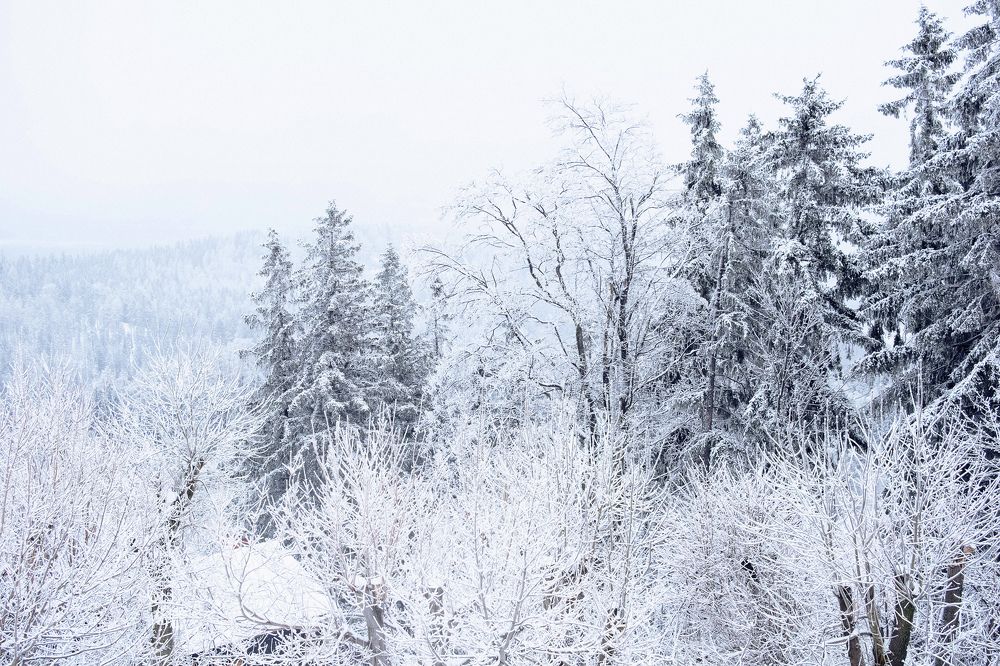 Photograph by Майя Коваль