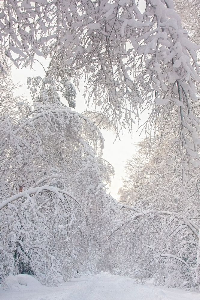 Photograph by Елена Жуковская