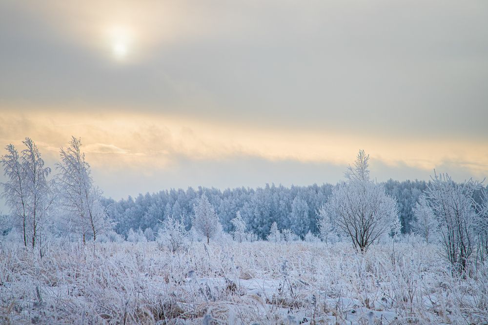 Photograph by Елена Жуковская
