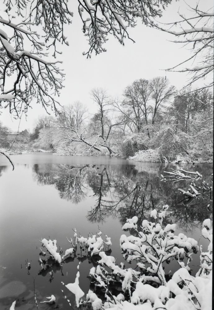 Photograph by Игорь Юркивский