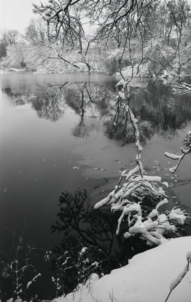 Photograph by Игорь Юркивский