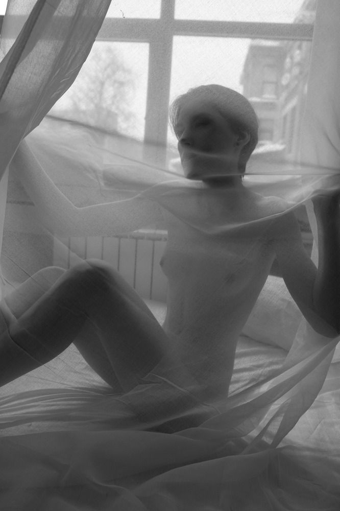 Фотография автора Night Max