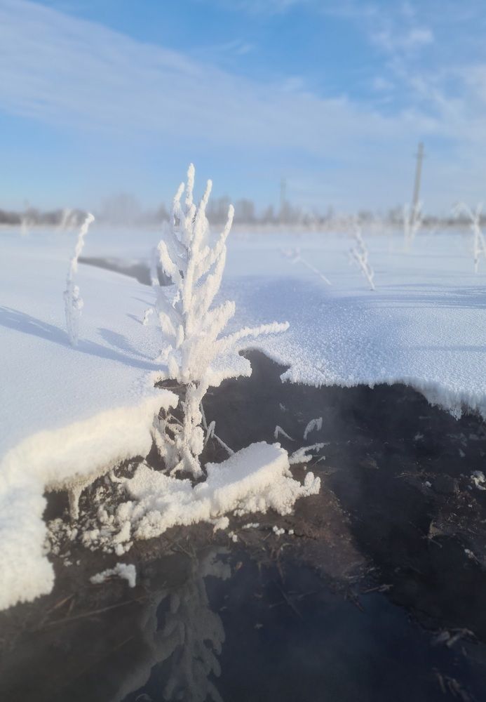 Photograph by Iskander