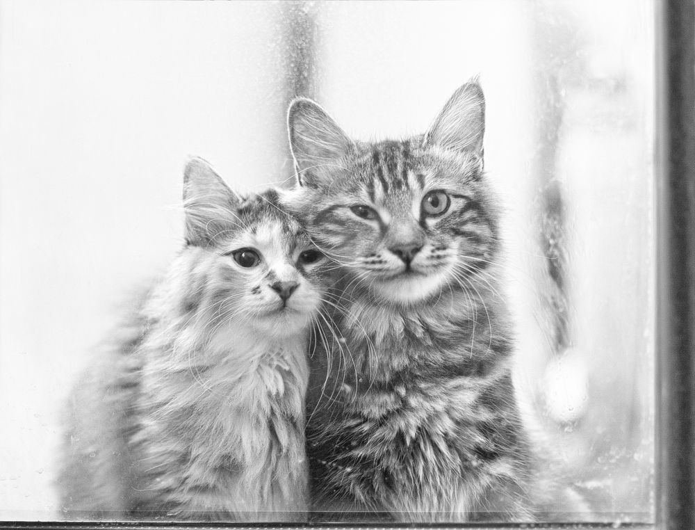 Photograph by Екатерина Запоздаева