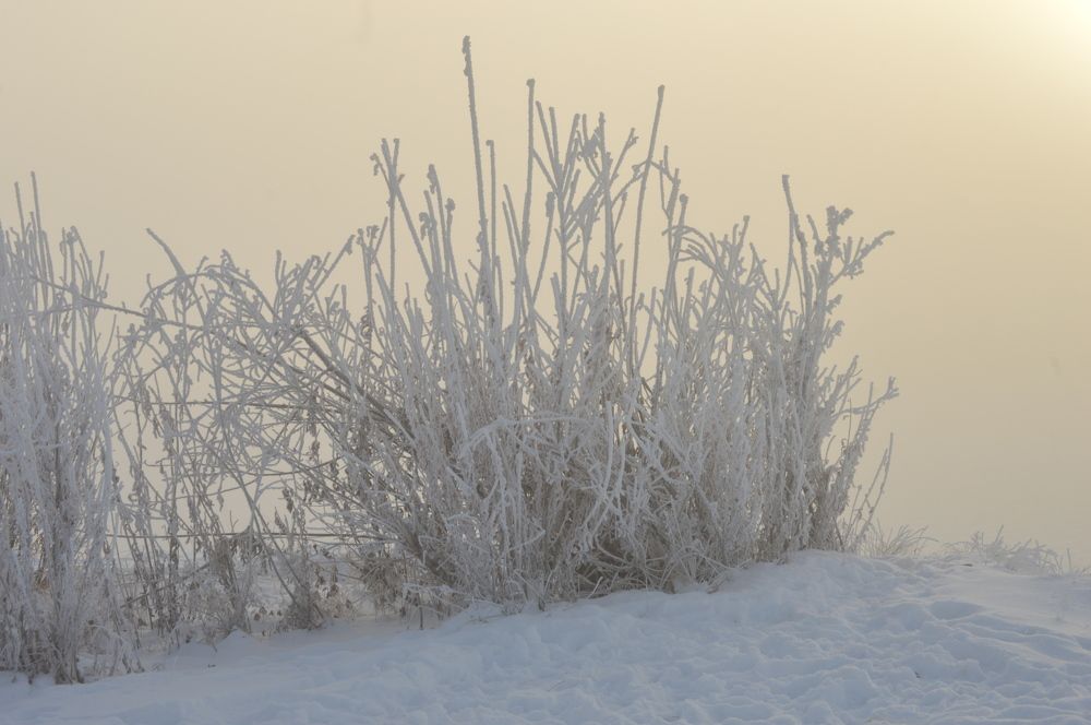Photograph by Наталья Мордовская
