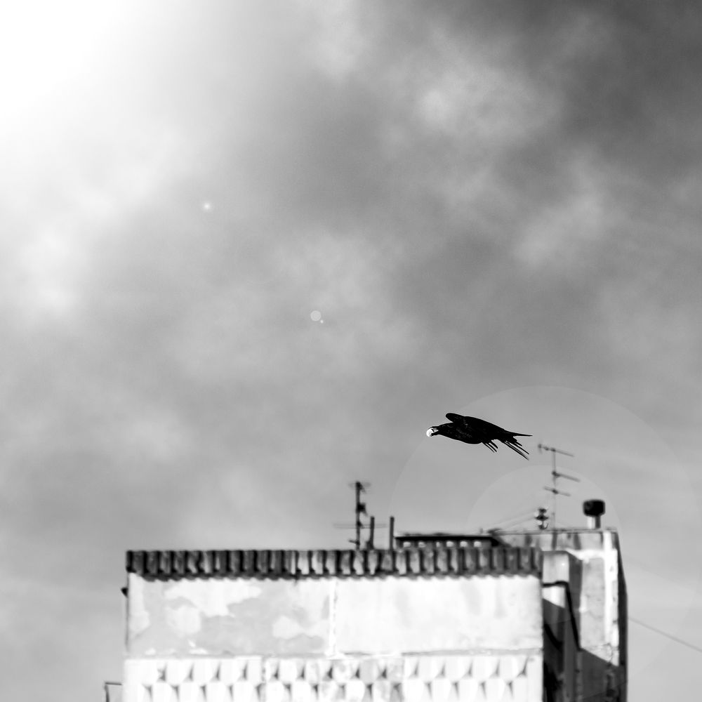 Photograph by Алексей Чепенко