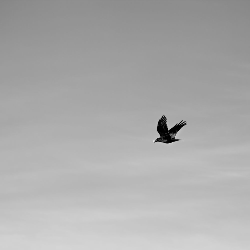 Photograph by Алексей Чепенко