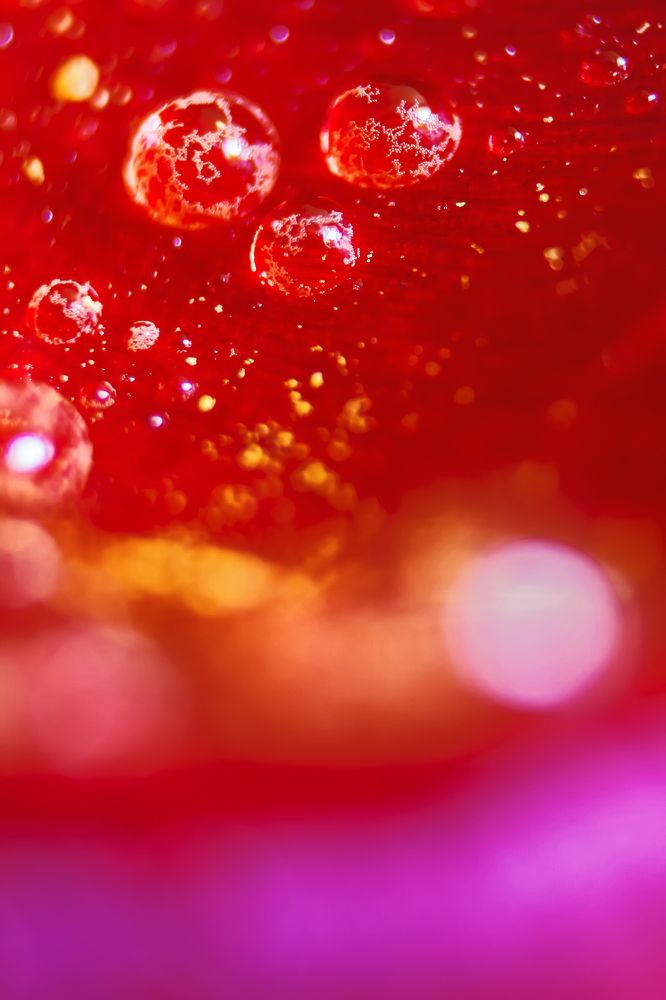 Photograph by Алексей Чепенко