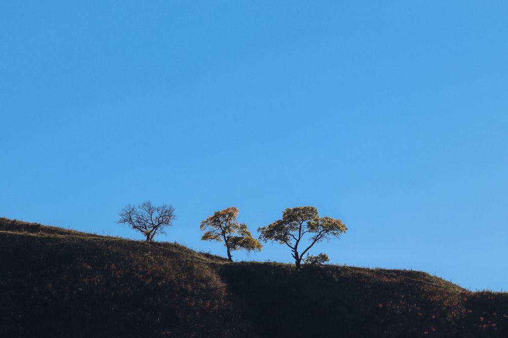 Photograph by Евгений Степанов