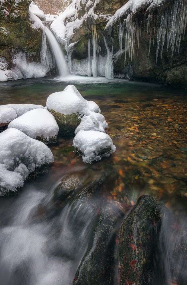 Фотография автора Adam Nedojedlý