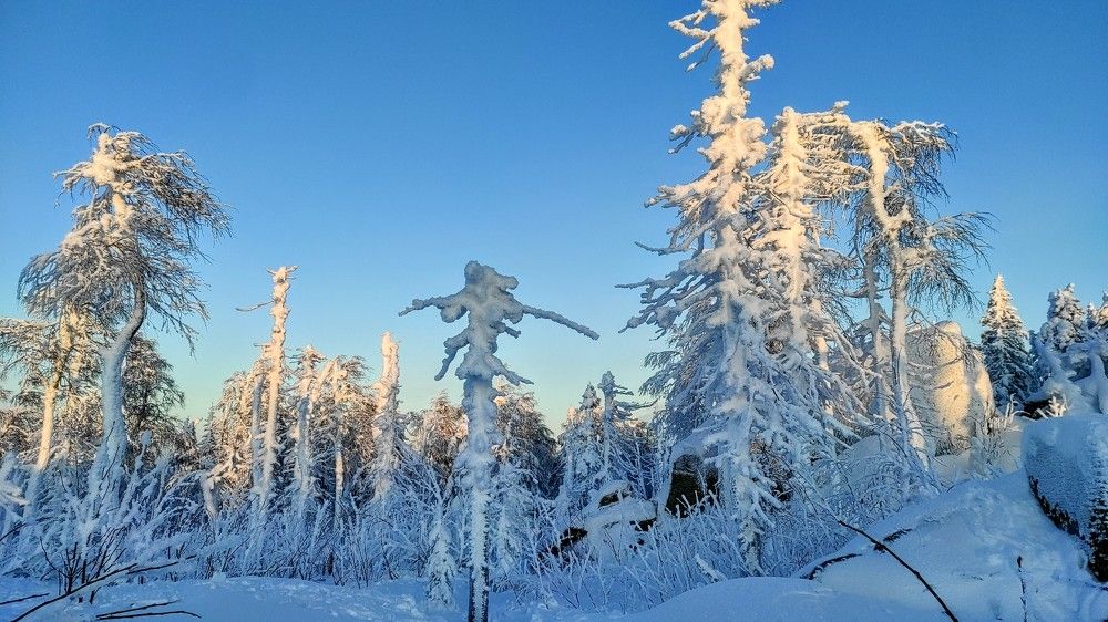 Photograph by Ирина Саттарова