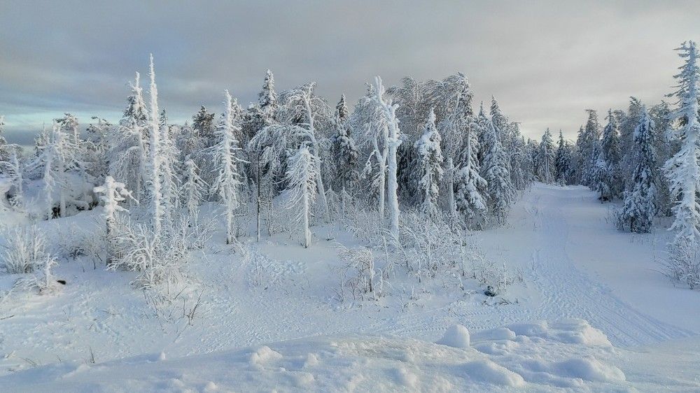 Photograph by Ирина Саттарова