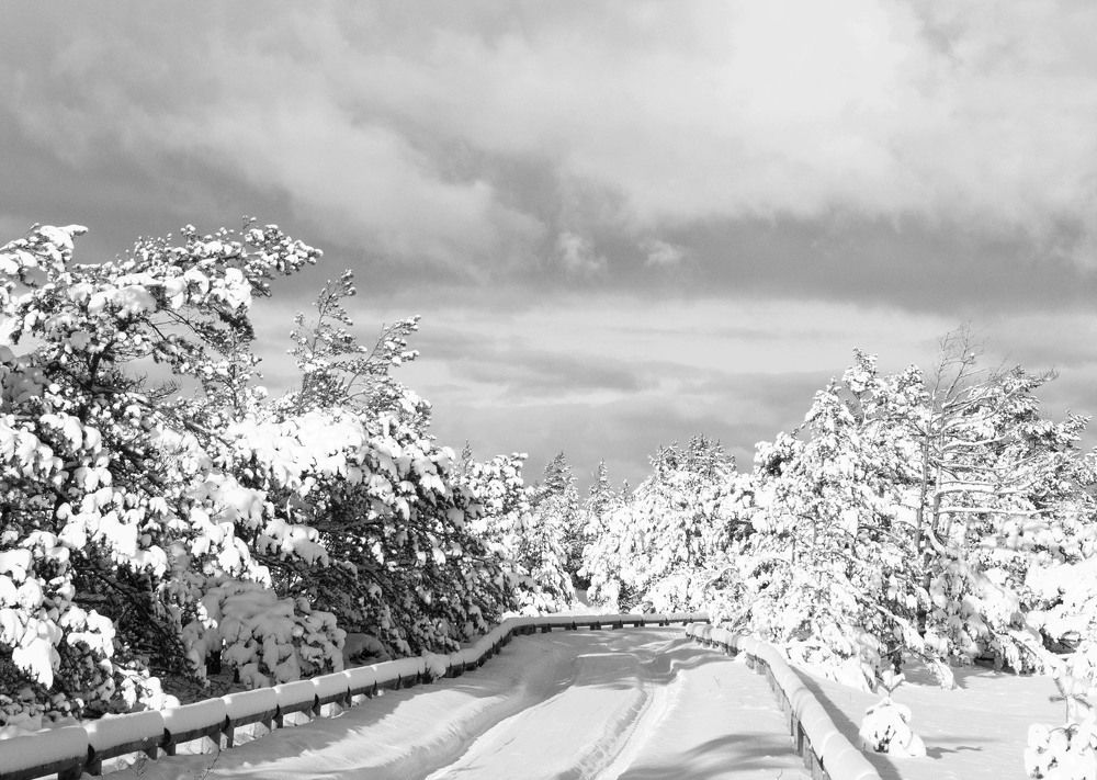 Photograph by Līga Sondare