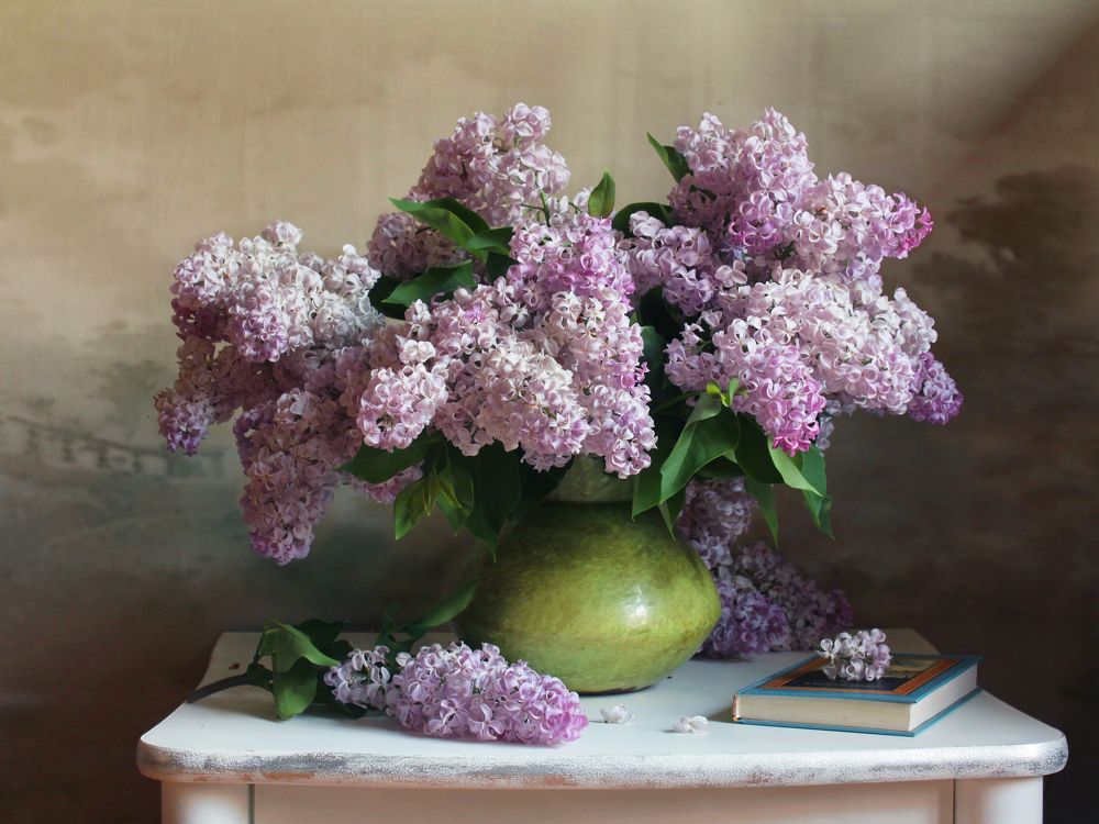 Фотография автора Ганина Галина