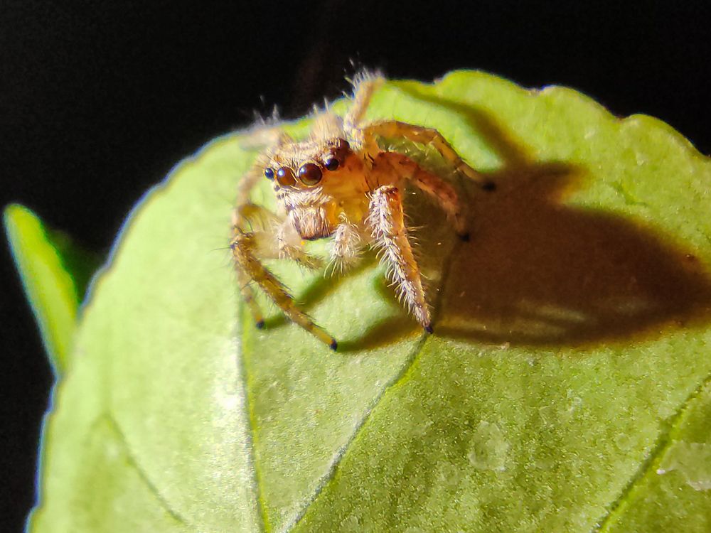 Photograph by Hosein Mayeli