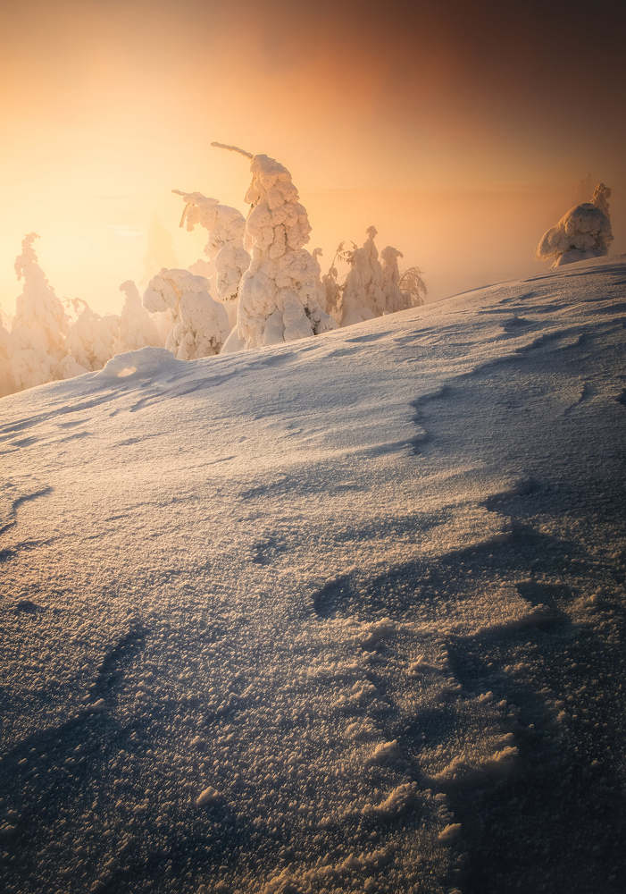 Фотография автора Adam Nedojedlý