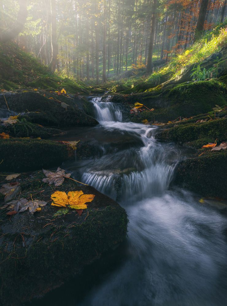 Photograph by Adam Nedojedlý