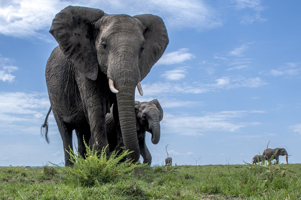 Photograph by Dilip Shah