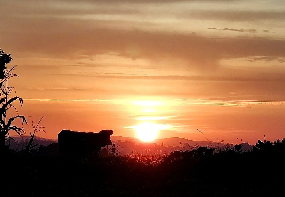 Photograph by Инна Макарчук