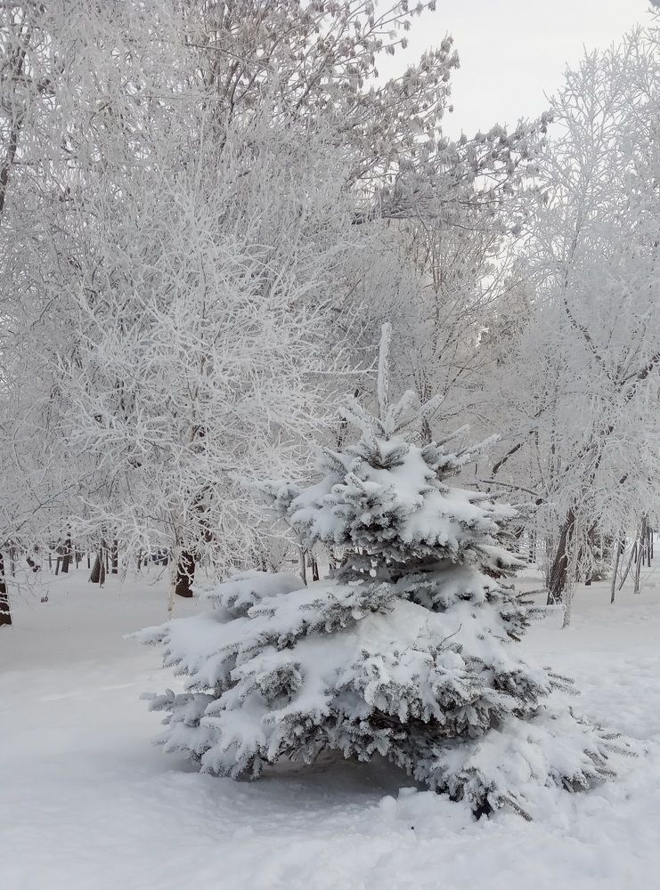 Photograph by Виктор Сёмушкин