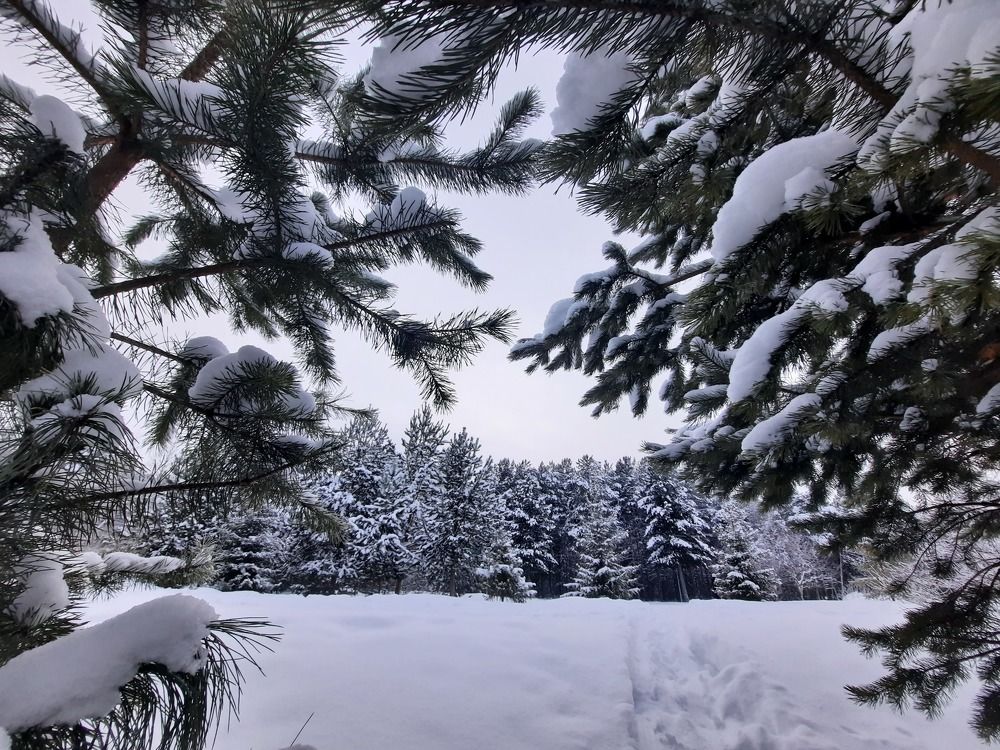 Photograph by Людмила Ермолаева