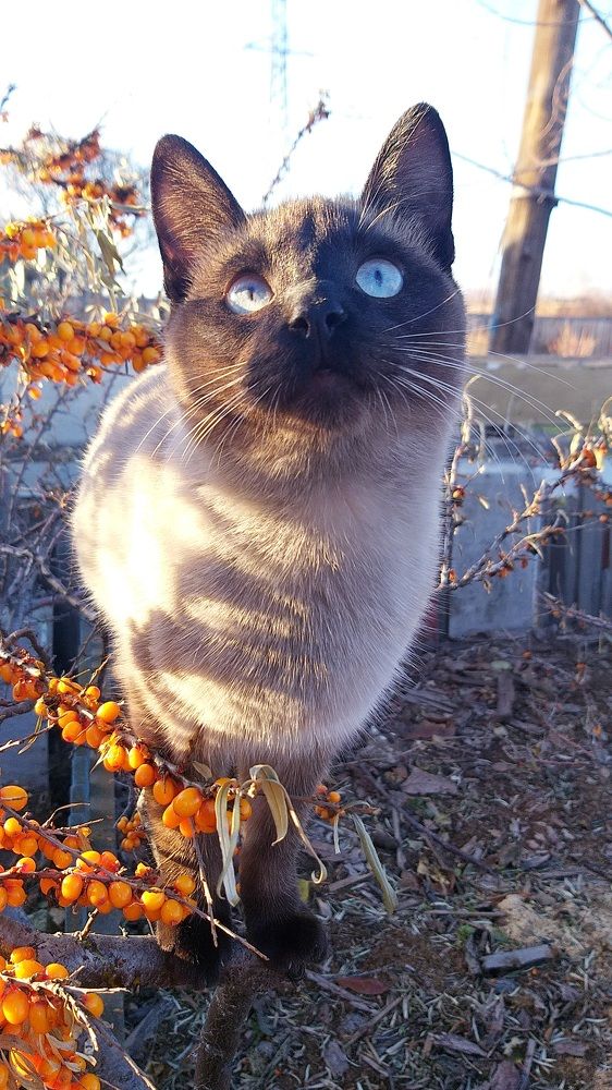 Photograph by Светлана Середина