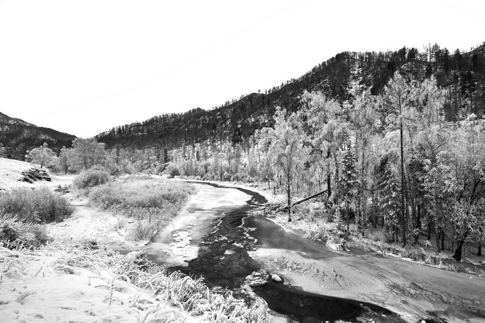 Photograph by Михаил Рогачев