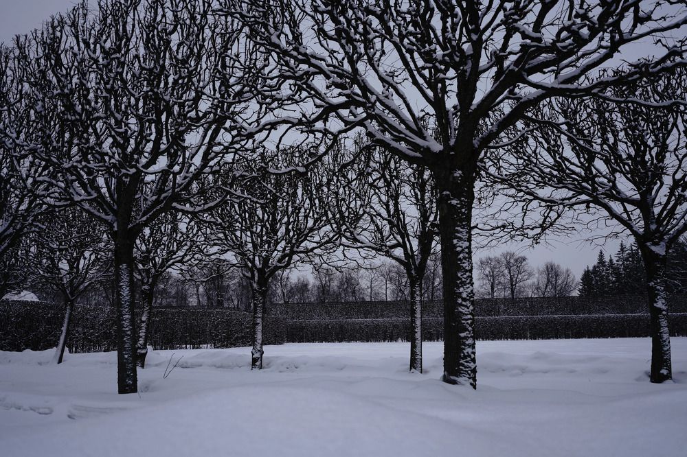 Зимние оттенки