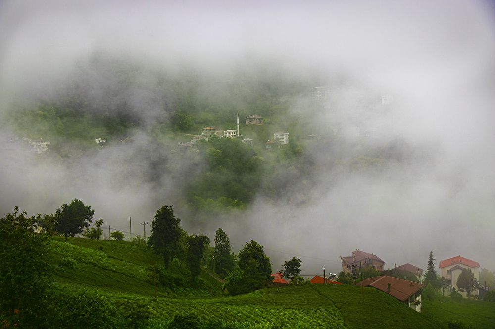 Photograph by Cemal Kaldirim