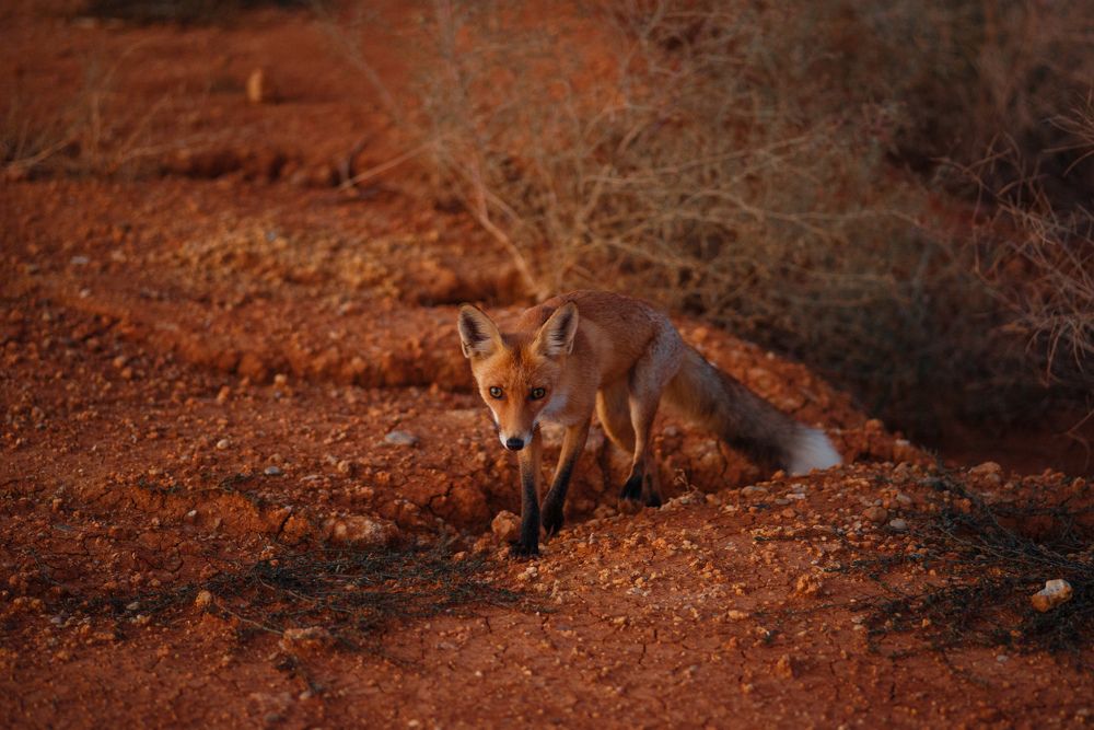 Photograph by Мария