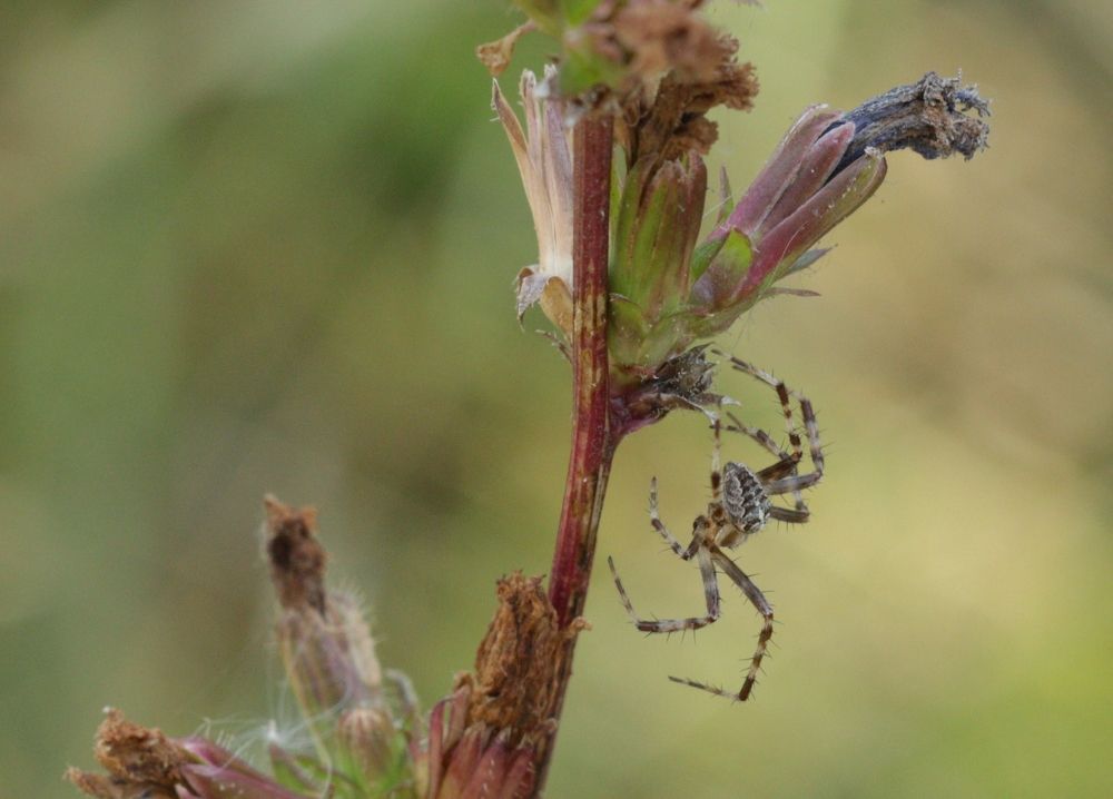 Фотография автора Олег Комарицкий