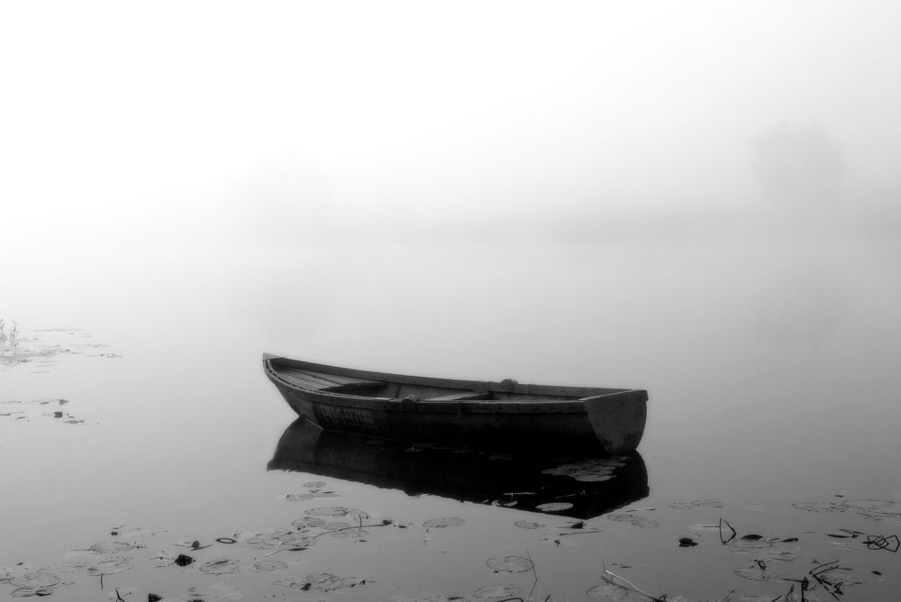 Photograph by Елена Потемина