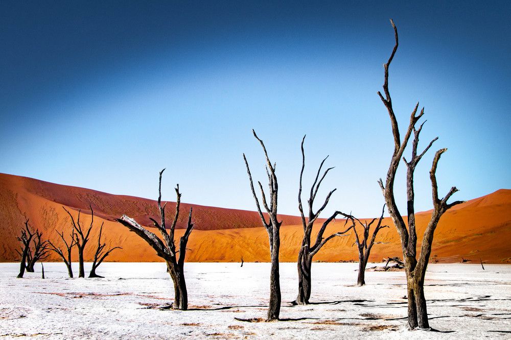 Photograph by Таймураз Гумеров