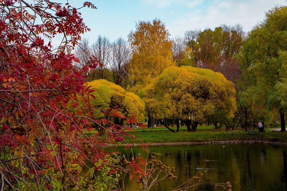 Photograph by Марина Вильдяева