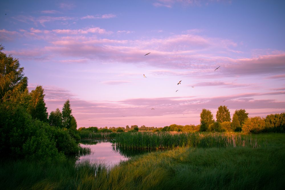 Photograph by Игорь