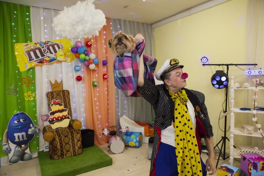 Фотография автора Ольга Малкова