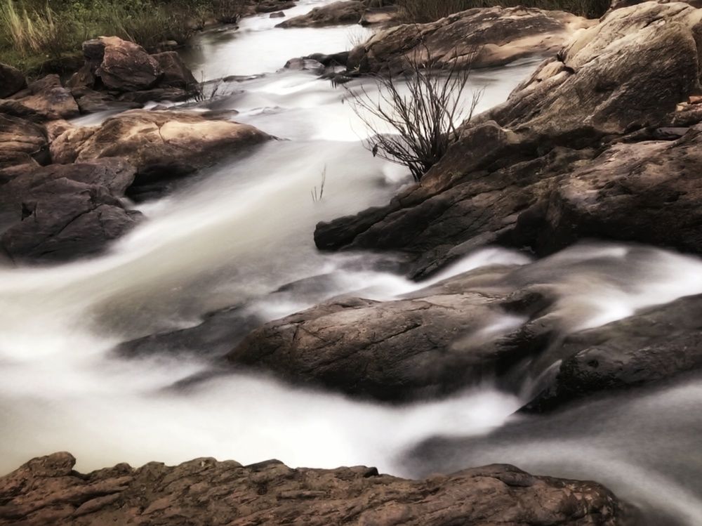 Photograph by Sarasij Betal