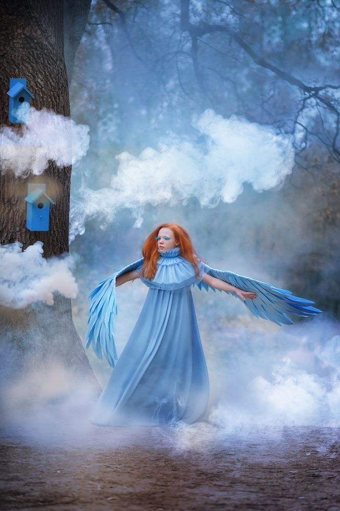 Фотография автора Елена Петрова