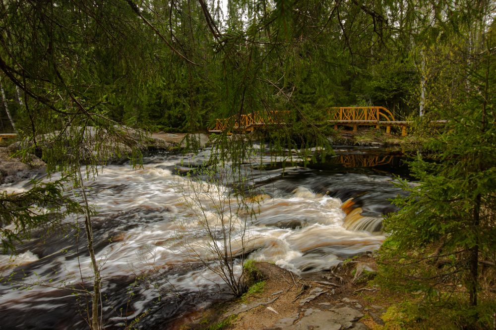 Photograph by Ekaterina Narozhnova