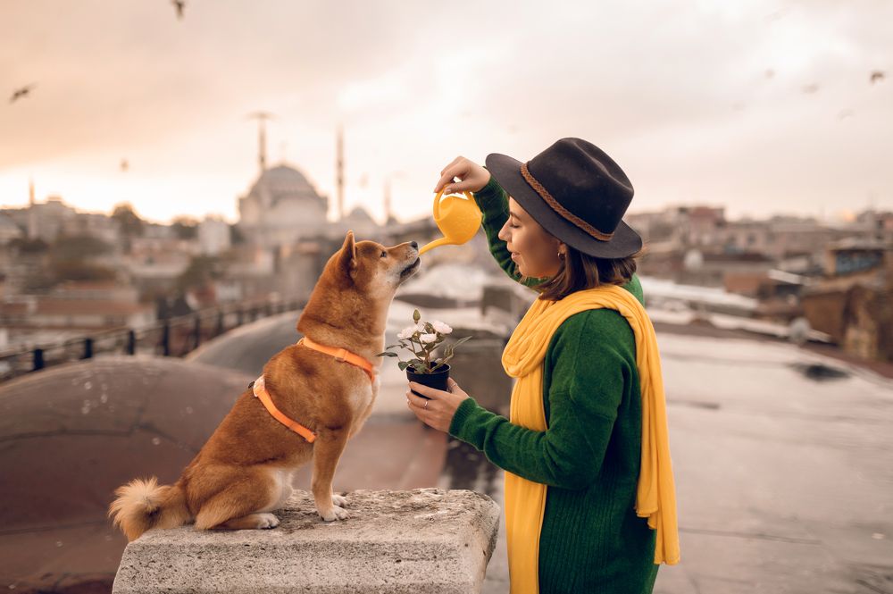 Photograph by Elena Yilmaz