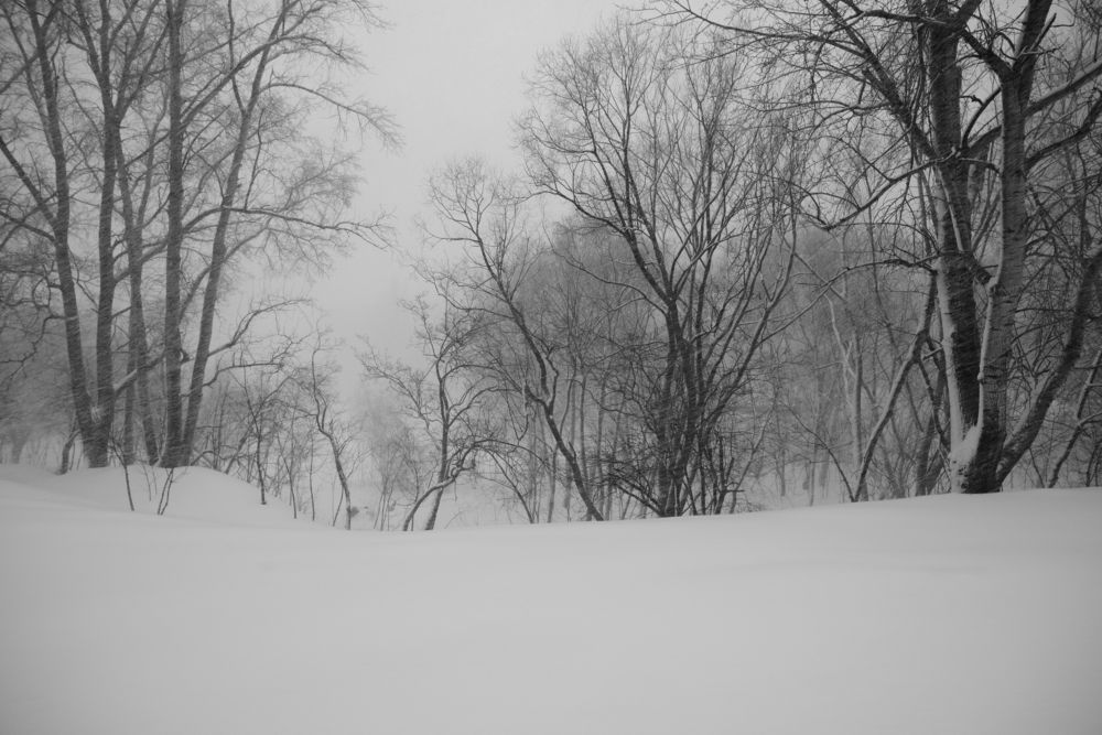 Photograph by Александр Дроздов