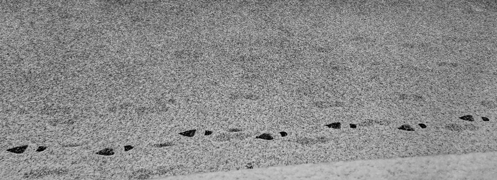 Photograph by Александр Дроздов