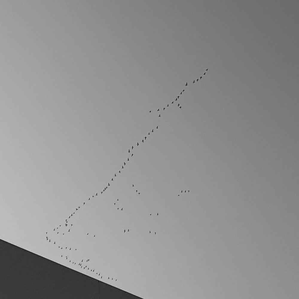 Photograph by Александр Дроздов