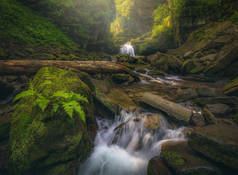 Фотография автора Adam Nedojedlý