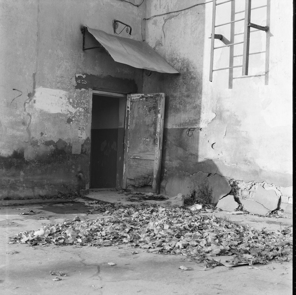 Photograph by Александр Дроздов