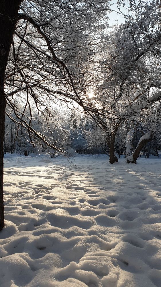 Photograph by Наталья Адалинская