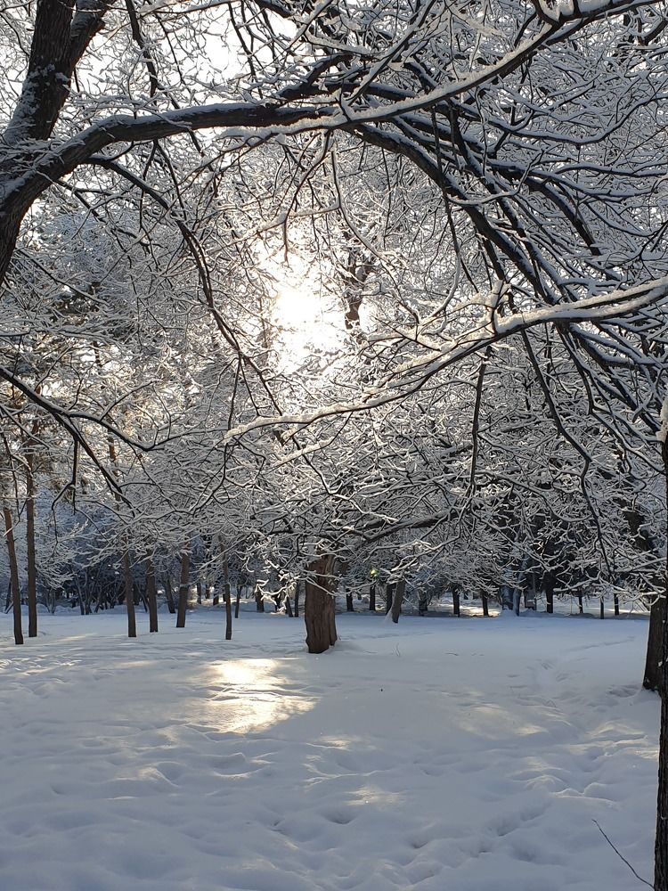 Photograph by Наталья Адалинская