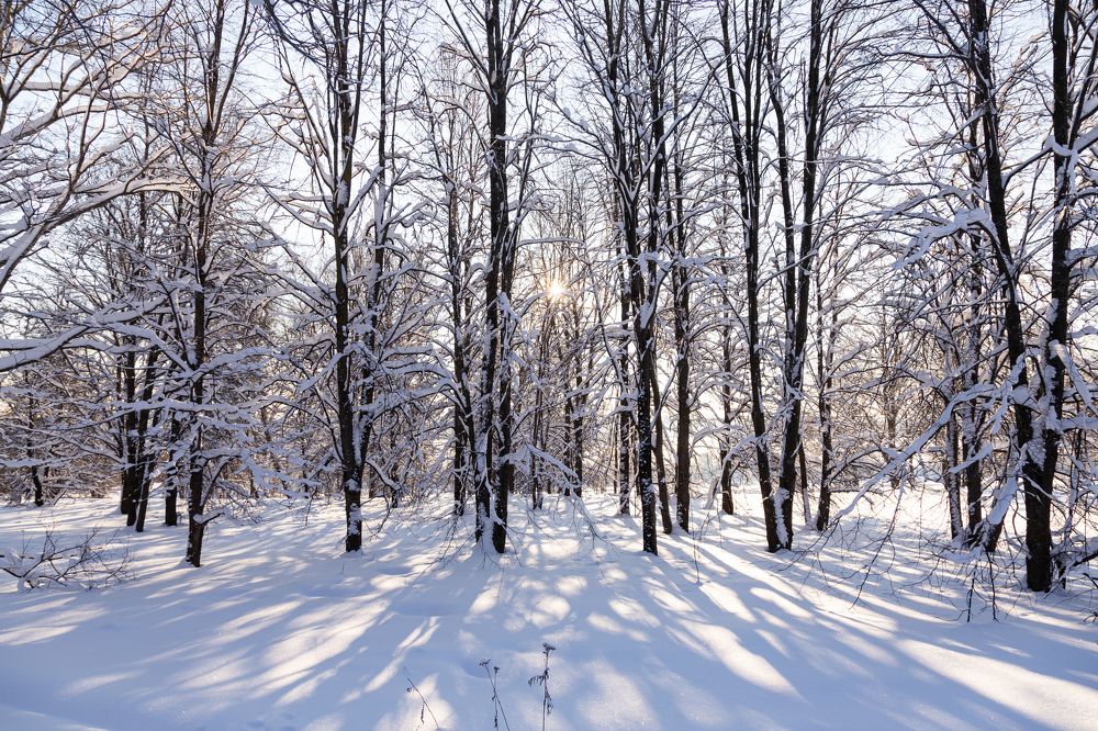 Photograph by Лидия Богданова